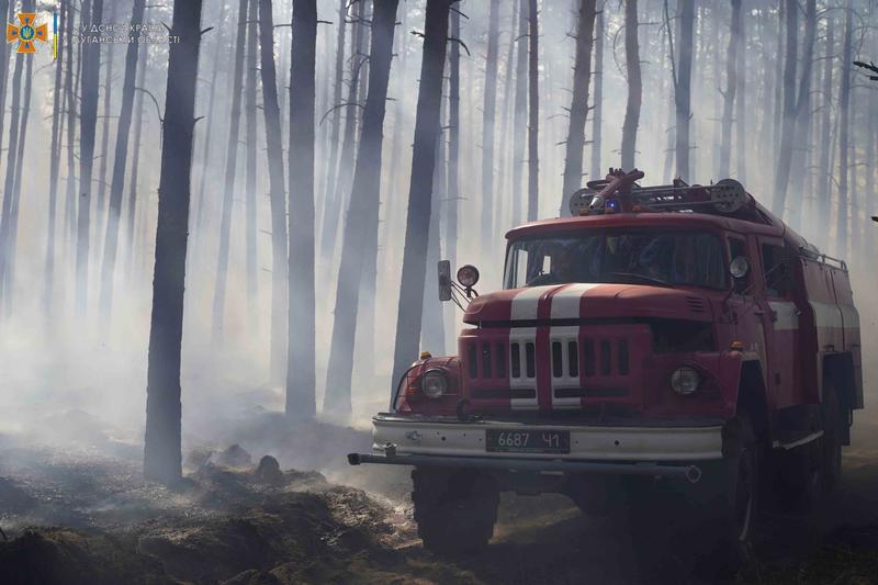 В Луганской области начался лесной пожар / lg.dsns.gov.ua