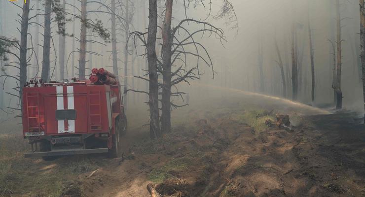 В Луганской области начался лесной пожар