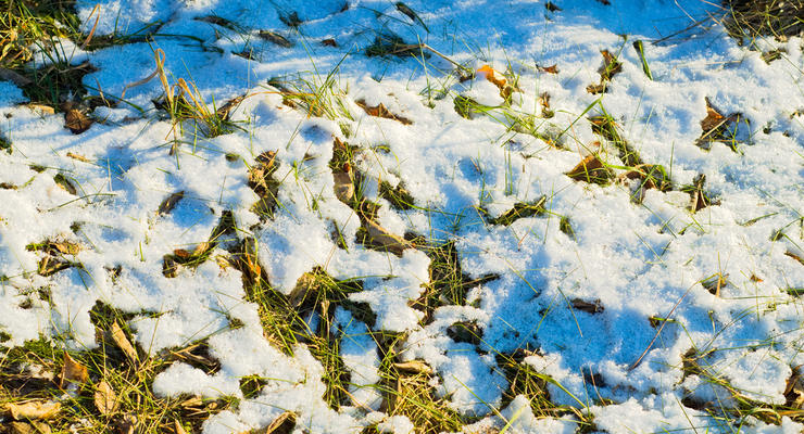 Красиво, но рано: Карпаты засыпало снегом