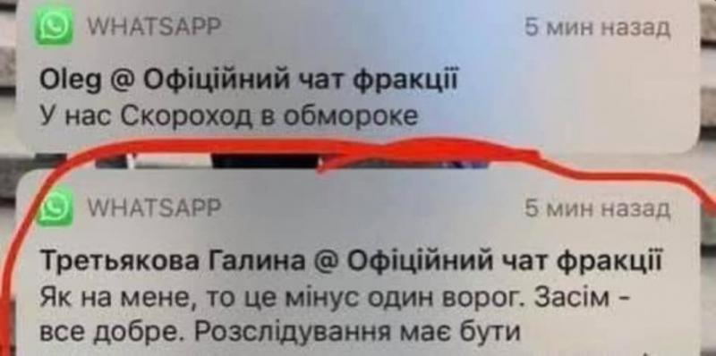 Ирина Геращенко обнародовала скриншот со словами Галины Третьяковой из чата