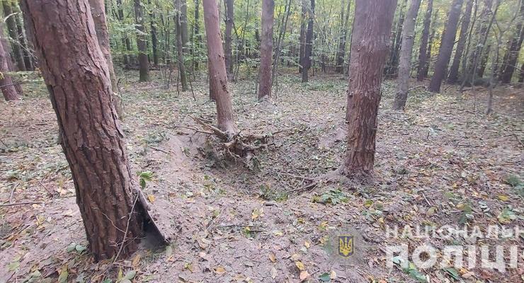 Археолог-любитель подорвался на артснаряде в лесу Буковины