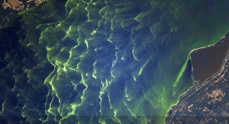 Осенний Киев показали на фото из космоса