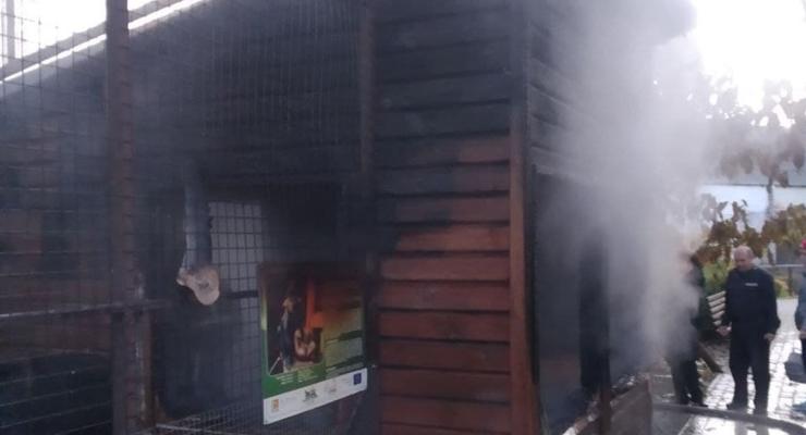 В Луцке в зоопарке произошел пожар — погибли животные