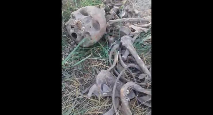 Кости человека нашли на кладбище для животных