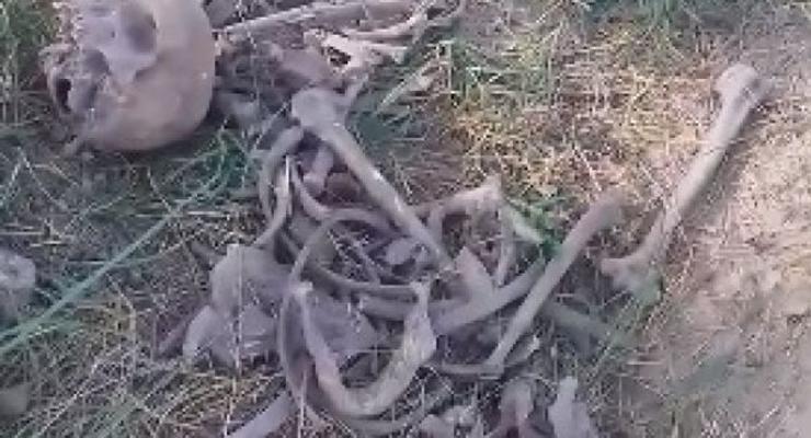 В Ахтырке нашли человеческий скелет на кладбище для животных