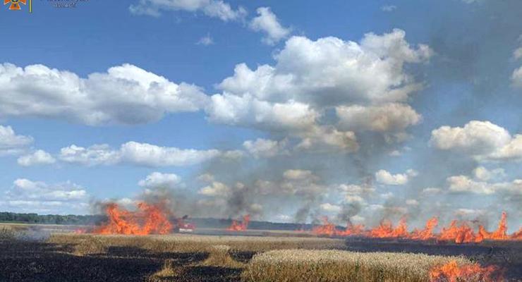 В Украине объявили высший уровень пожарной опасности