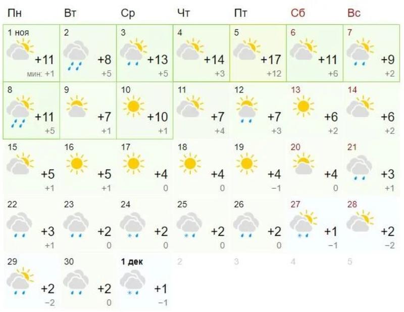 Погода в Киеве в ноябре / сркиншот gismeteo.ua
