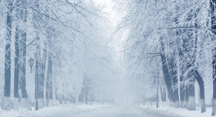 Густые туманы и снег: в Украине резко меняется погода
