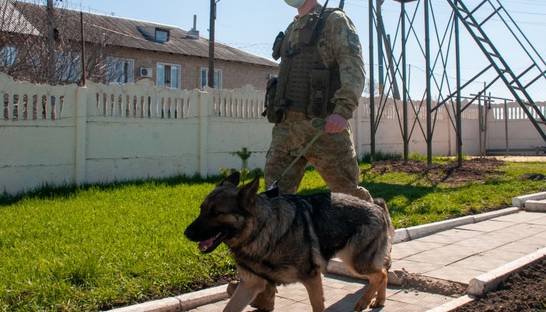 Украинским пограничникам разрешили применять силу, оружие и технику