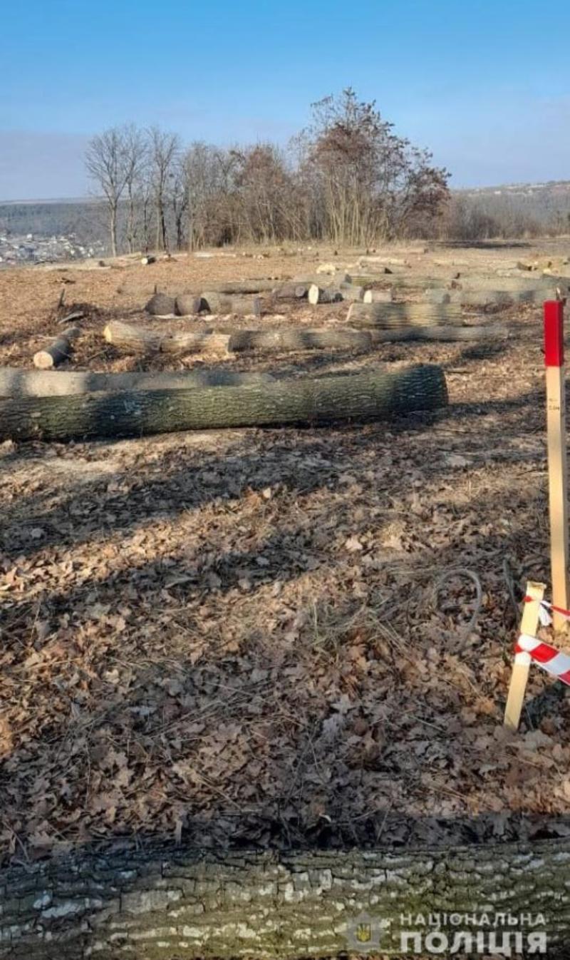 Буковинские полицейские расследуют незаконную вырубку деревьев на природоохранной территории в Днестровском районе / npu.gov.ua