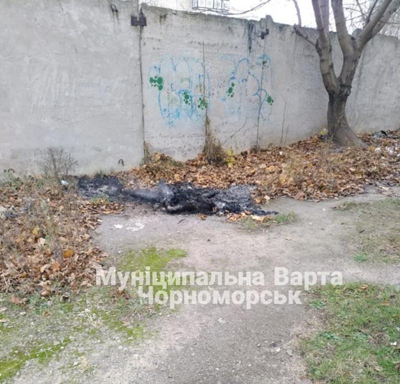 Фото с места инцидента / facebook.com/varta.chornomorska