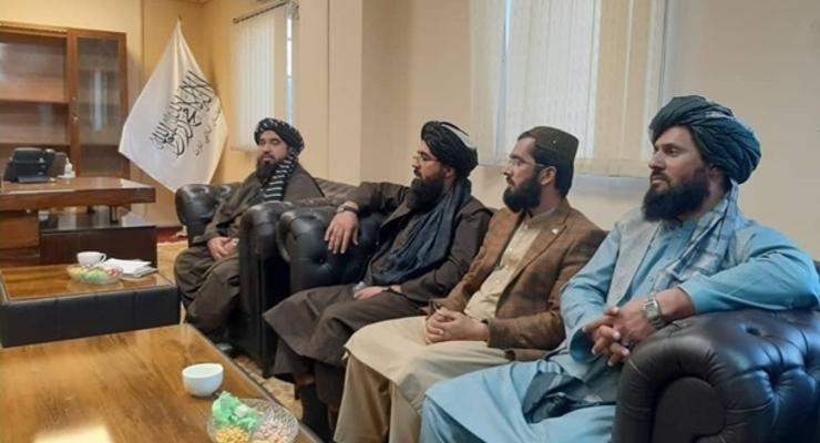Талибы заявили о строительстве предприятия по переработке каннабиса