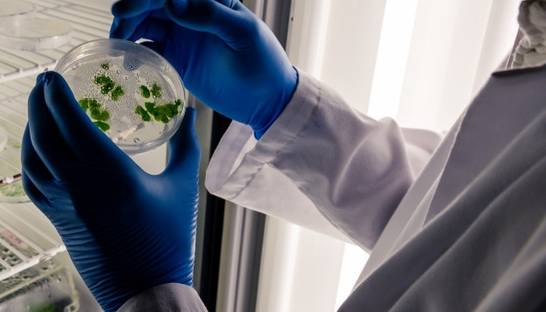 На Закарпатье у 66 работников школьных столовых нашли стафилококк