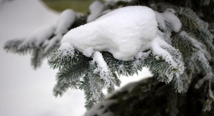 Мороз сковал Карпаты: -16 градусов и все в снегу