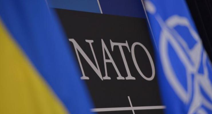 В НАТО ждут, что к 2024 году все офицеры ВСУ заговорят на английском