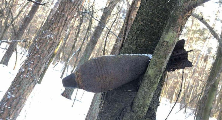 На Львовщине нашли мину, которая 80 лет провисела на дереве