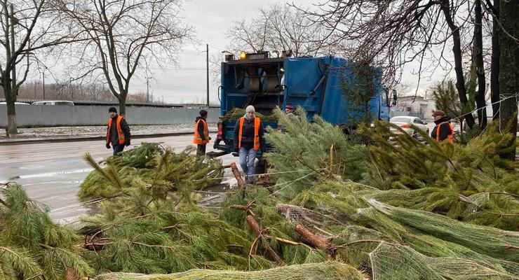 На улицах Одессы торговцы бросили более 5 тысяч непроданных елок