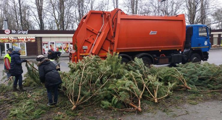 В Одессе торговцы намерено испортили выброшенные елки