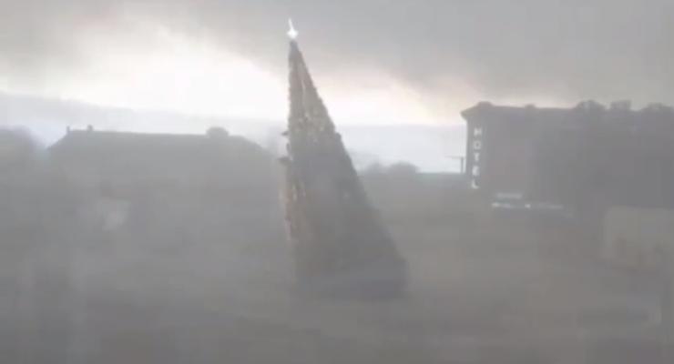 В Беларуси сняли на видео, как ветер валит новогодние елки в городах