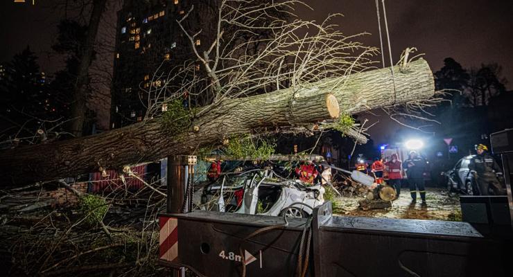 В Киеве на автомобиль упало дерево – водитель погиб