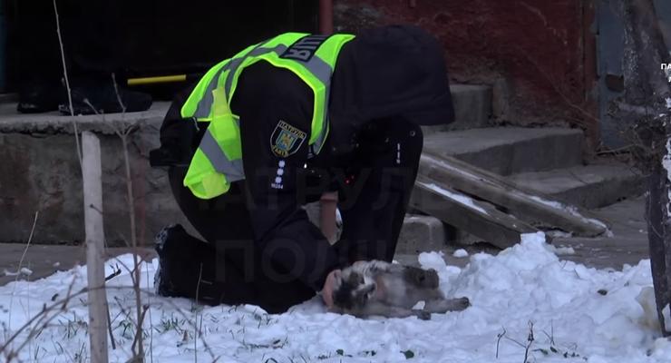 В Сети показали, как полицейские откачивали кошку после пожара