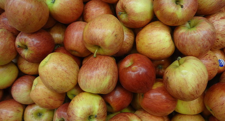 Под Черкассами двое рабочих погибли в холодильнике с яблоками