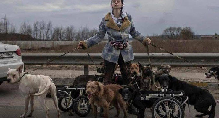 Фото дня: Девушка эвакуирует собак-инвалидов из Ирпеня