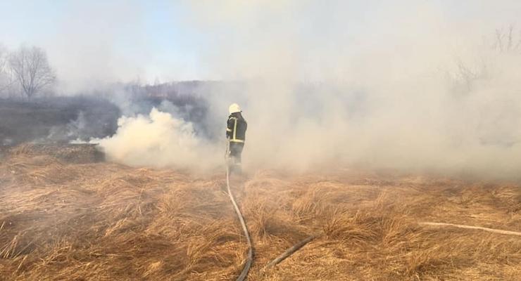 На Прикарпатье из-за поджога сухой травы погибли 3 людей за неделю