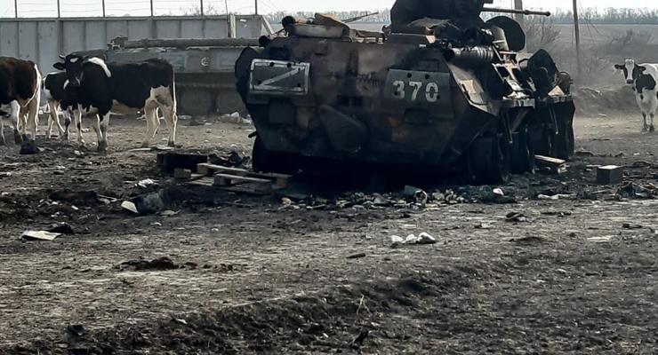 ВСУ освободили Гусаровку под Харьковом: Появились фото разбитой техники