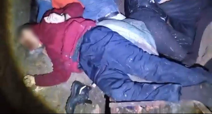 В подвале на Киевщине нашли шестерых убитых мирных жителей