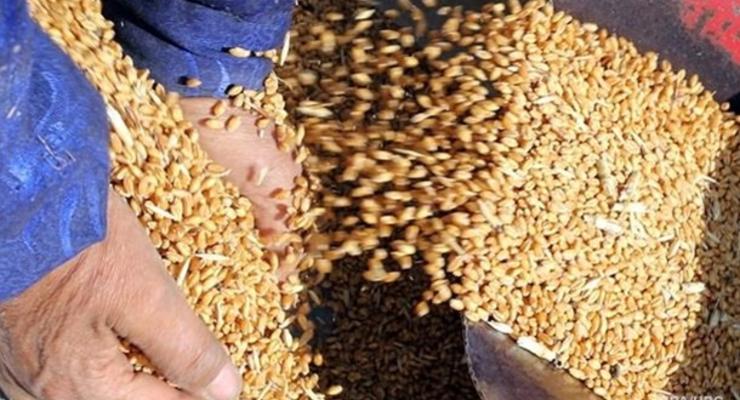 Оккупанты вывозят украинское зерно в Крым - Денисова