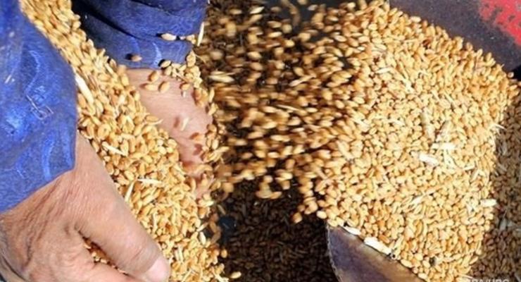 Россия украла у Украины 500 тыс. тонн зерна - МИД