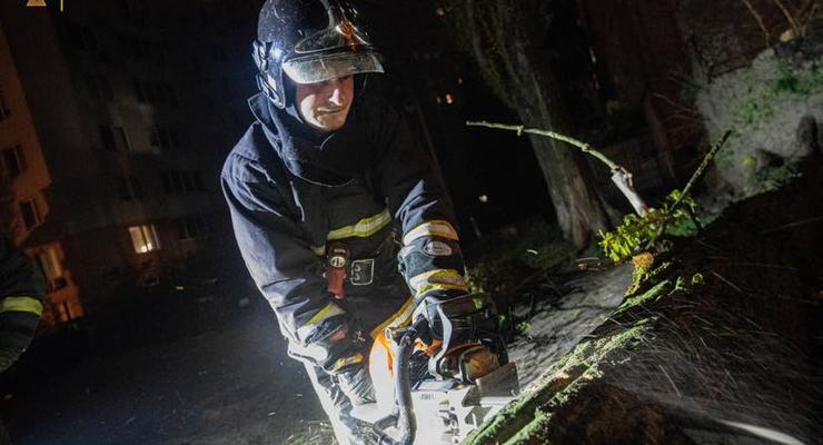 Последствия урагана в Киеве: упавшие деревья повредили 11 авто