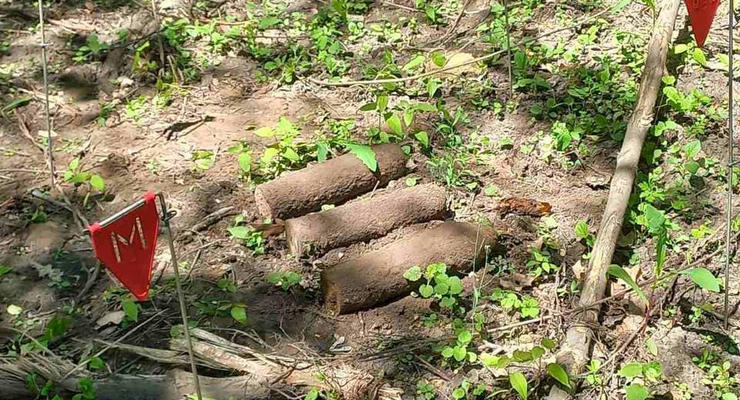 В Киеве нашли четыре снаряда в ботаническом саду - КГВА