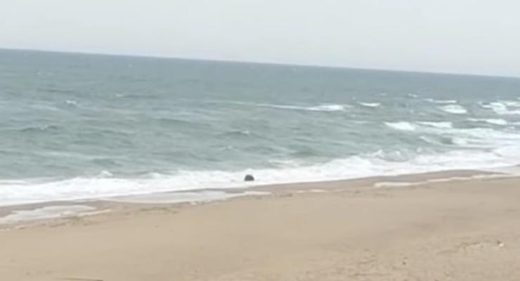 На побережье Одесчины вынесло морскую якорную мину