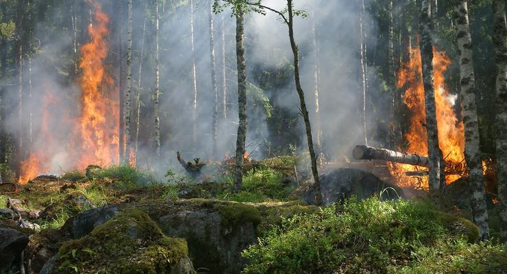 Синоптики предупредили об опасной погоде: Будут лесные пожары (карта)