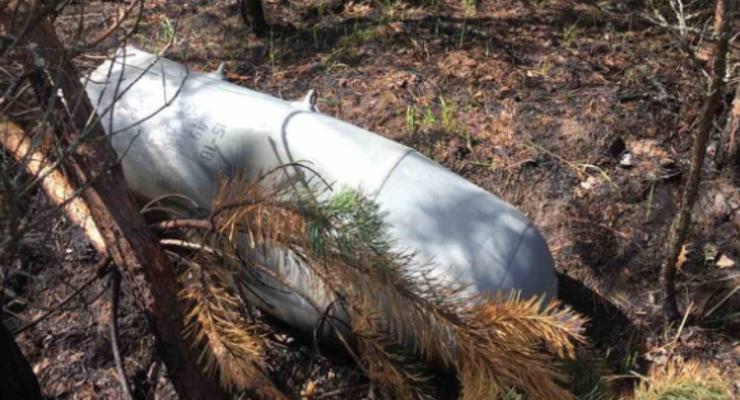 Оккупанты нанесли миллиарды грн ущерба окружающей среде в Черниговской области
