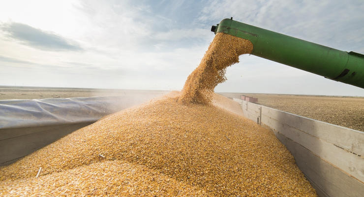 Проблема вывоза зерна из Украины: В Турции запланировали переговоры с РФ, Украиной и представителями ООН