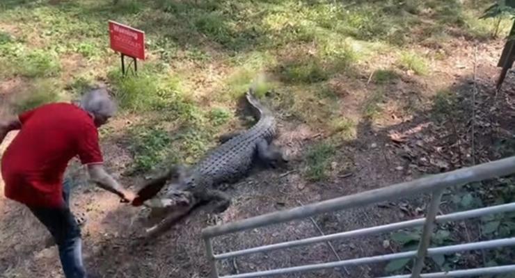 Мужчина использовал против крокодила сковородку