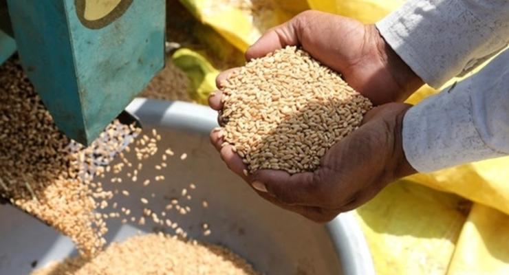 Грузия на год запретила экспорт зерна
