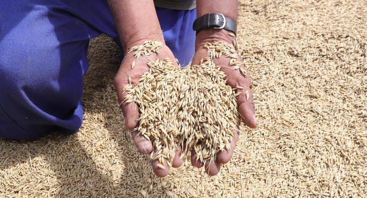 Військові РФ вкрали 400 тонн зерна у Запорізькій області