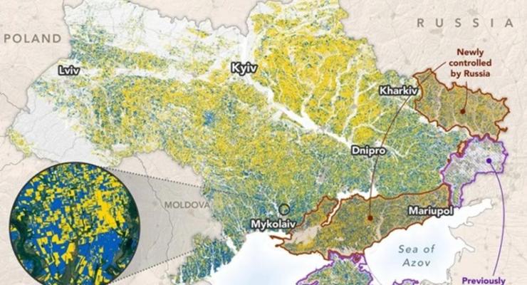Оккупанты захватили 22% полей Украины - NASA