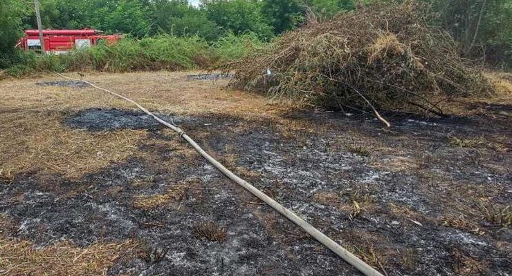 На Миколаївщині окупанти знищили 50 га ячменю