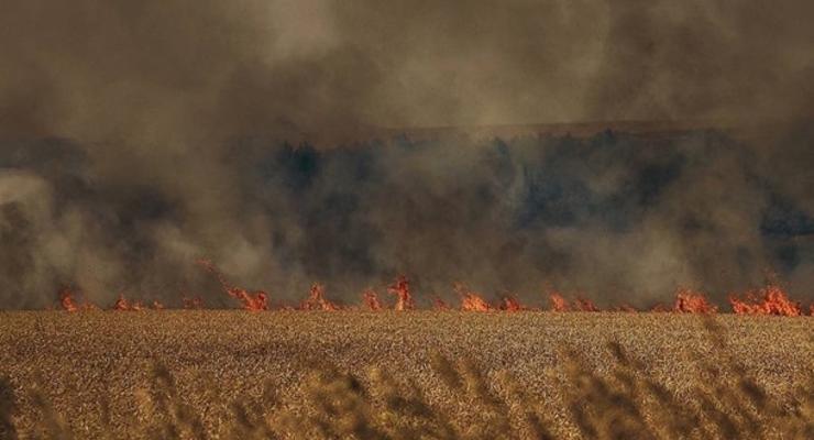 Окупанти випалили врожай у Криворізькому районі