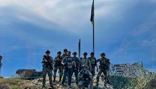 Со Змеиного эвакуировали украинского кота, который жил под оккупацией – ГУР