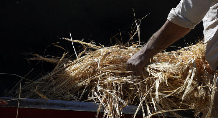Оккупанты отобрали у фермеров Луганщины 70 тысяч тонн зерна - Гайдай
