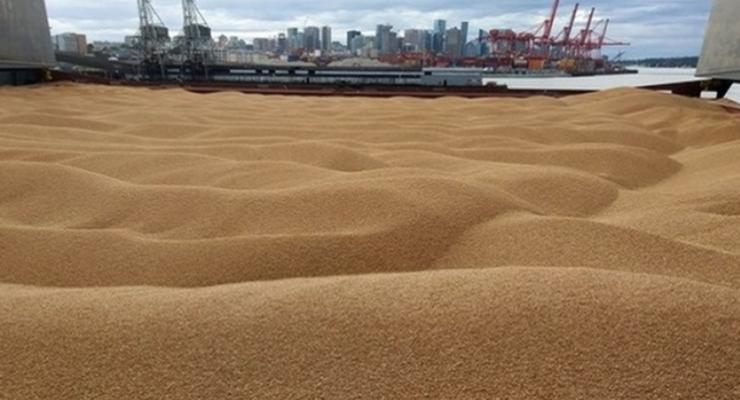 Вывоз зерна из Украины: озвучены планы по объемам