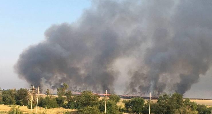 Партизаны Мариуполя подожгли поля, чтобы россияне не украли зерно