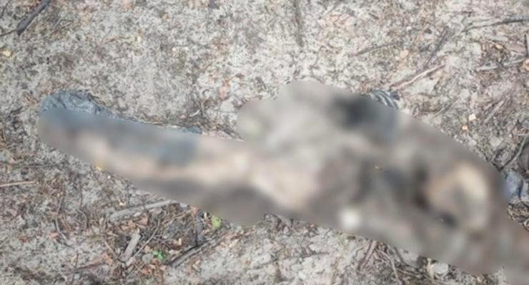 Біля Бучі знайшли ще одне тіло вбитого окупантами мирного жителя - мерія
