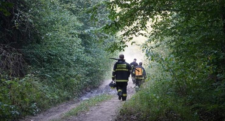 На Закарпатті загасили масштабну лісову пожежу